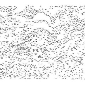 Può includere: Puzzle di unisci i puntini in bianco e nero con un uccello, un fiore e un albero. Il puzzle è progettato per bambini e adulti.