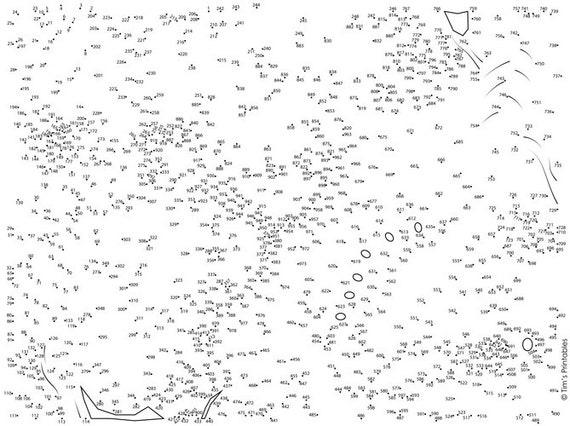 Animal Dot To Dot Connect The Dots Vol 1 Pdf Etsy