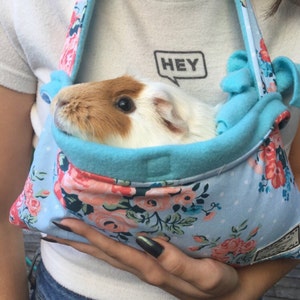 guinea pig carrier