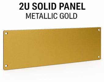Custom Metallic Gold 2U Rack Panel – Solid Steel Cover for 19” Mount Gear
