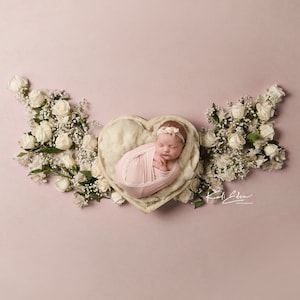 Heart with Floral Wings Newborn Digital Backdrop