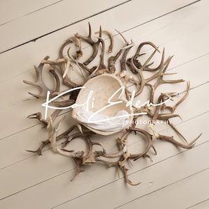Antlers on White barn wood Newborn Digital Backdrop Background Composite