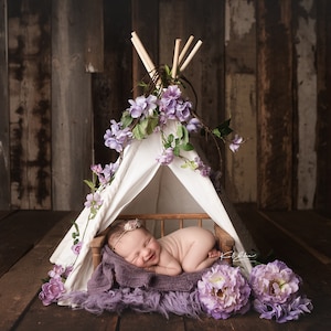 Purple Floral Tent TP Camping Newborn Digital Backdrop Background