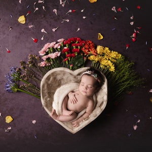 Rainbow Baby Newborn Digital Backdrop Floral