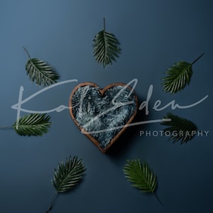 Heart with Leaves Newborn Digital Backdrop