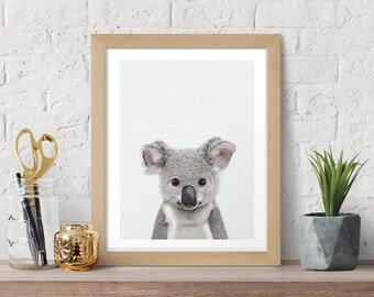 Puede incluir: Una impresión de arte de pared enmarcada que presenta un retrato de alta resolución de un koala gris con grandes orejas peludas y nariz negra, sobre un fondo blanco liso. La obra está encerrada en un marco de madera clara con borde simple.