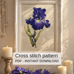 May include: A framed cross-stitch pattern of a purple iris flower with green leaves. The artwork is displayed in a white ornate frame. Text at the bottom reads "Cross stitch pattern PDF - INSTANT DOWNLOAD".