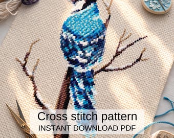 Blue Jay telpatroon pdf, borduurontwerp vogel