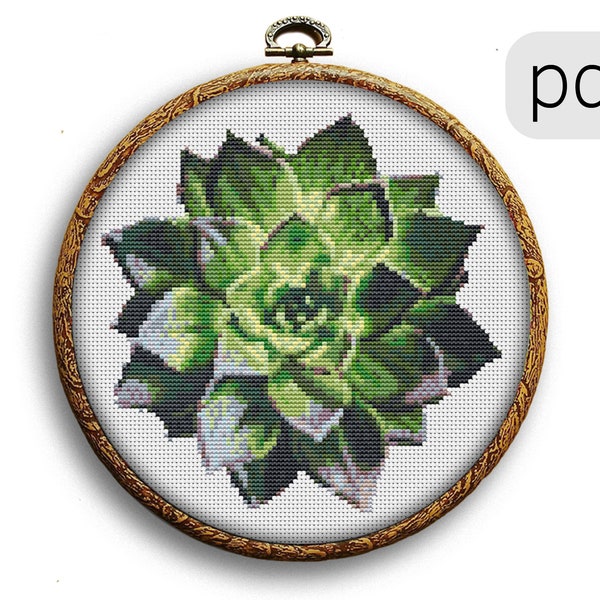Succulent Cross Stitch Etsy