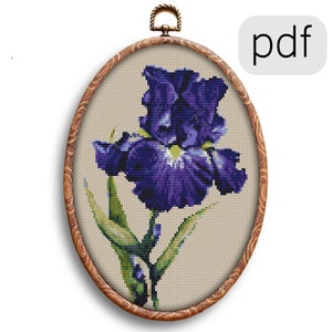 Patrón de punto de cruz contado de planta IRIS azul púrpura