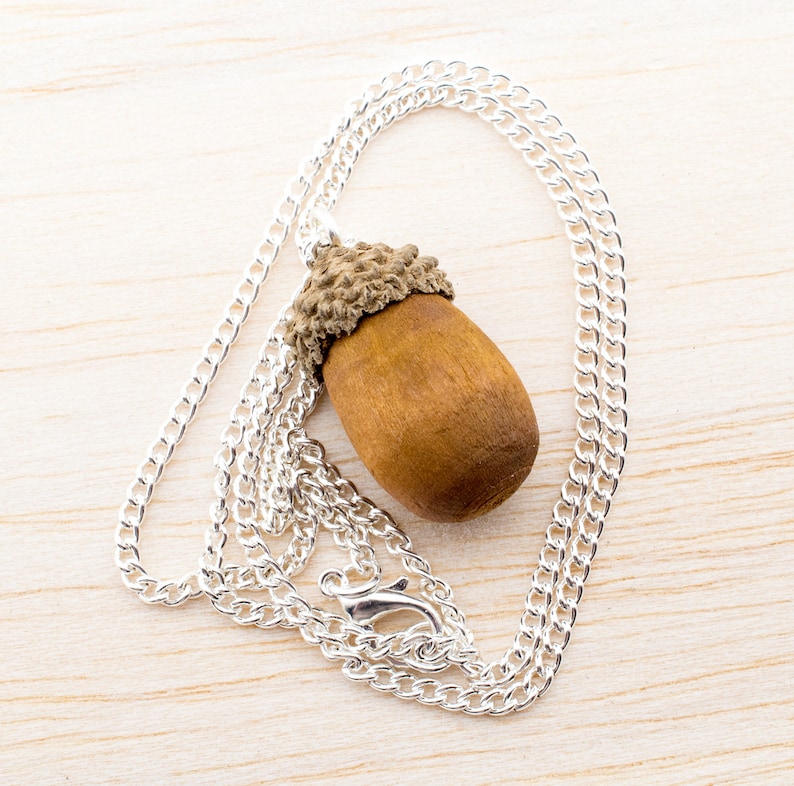 Real Acorn Necklace Autumn Necklace Gift for you Nature Acorn Necklace Acorn Necklace Autumnal Jewelry Echtschmuck
