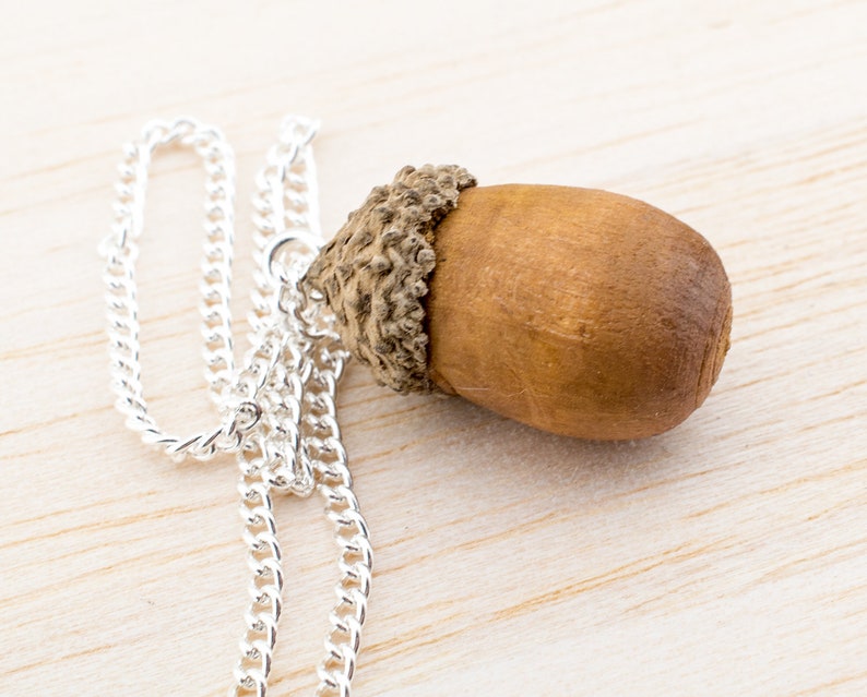 Real Acorn Necklace Autumn Necklace Gift for you Nature Acorn Necklace Acorn Necklace Autumnal Jewelry Echtschmuck