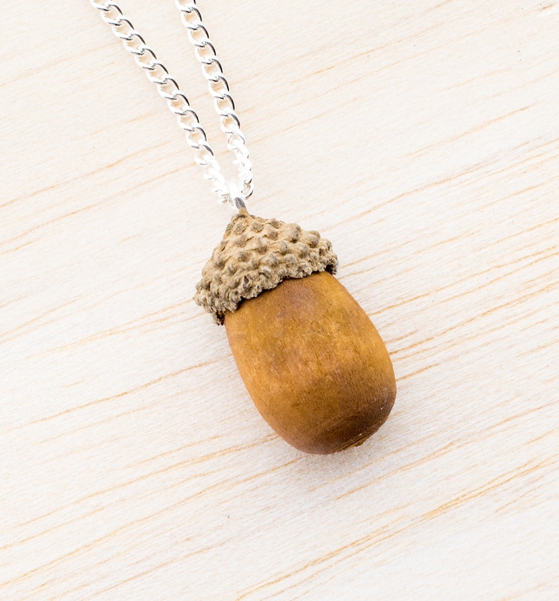 Real Acorn Necklace Autumn Necklace Gift for you Nature Acorn Necklace Acorn Necklace Autumnal Jewelry Echtschmuck