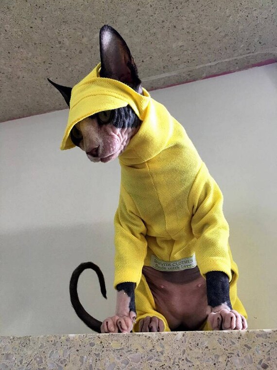 NEW The All In One Cat Suit All In Grey for Sphynx Cat CatDog Clothes Pet Tops Pet Supplies