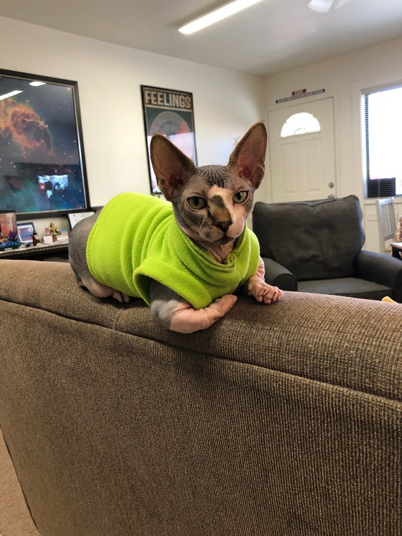 Gilet En Polaire Pour Chat Sphynx Vetements Pour Etsy