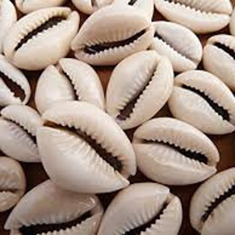 cowrie shell headpiece
