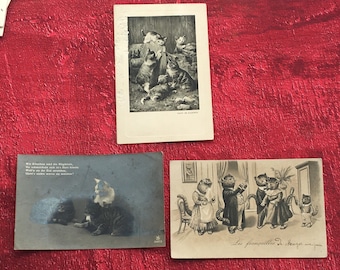 Les Chats Chat posture humaine Superbe Lot de 2 Cartes Postales( 1 gaufrée ) Fantaisie-Vœux-amitiés-Carte postale précurseur de (±) 1906