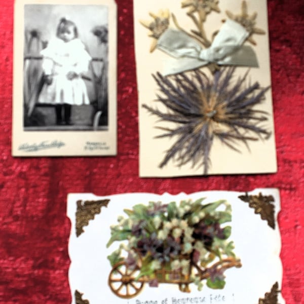 2 magnificent postcards + photograph 1895's of real edelweiss and dried flowers with a ribbon and chromos glued on the happy holidays card