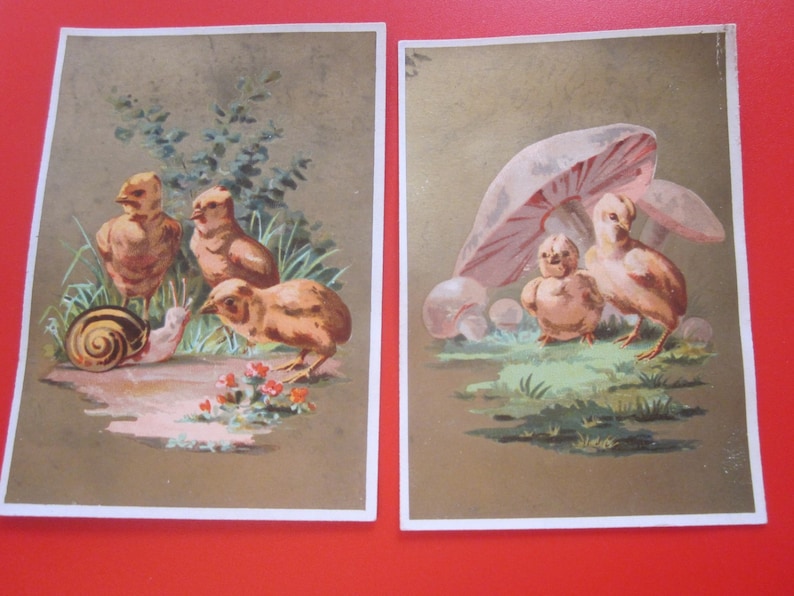 5 antique french advertising chromo 1885
