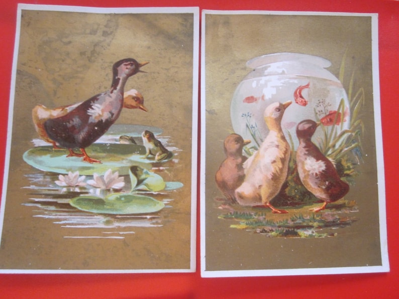 5 antique french advertising chromo 1885