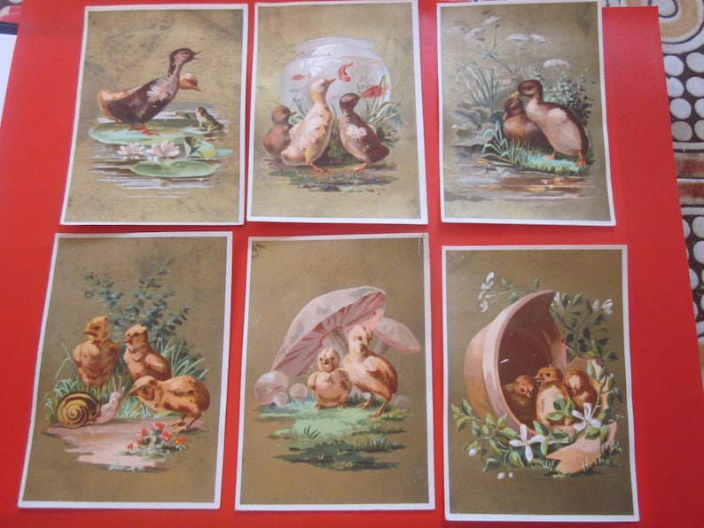 5 antique french advertising chromo 1885