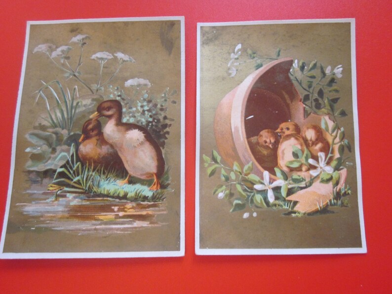 5 antique french advertising chromo 1885