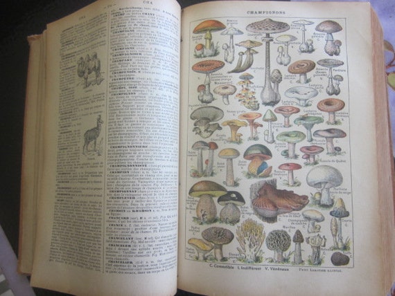 Vintage French Dictionary Larousse Illustre French Illustrated