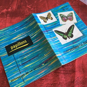 Quaderno scolastico: bella scrittura, disegni, collage, scuola di ortografia, blocco note, scuola, carta graficata per calligrafia, scrapbooking vintage