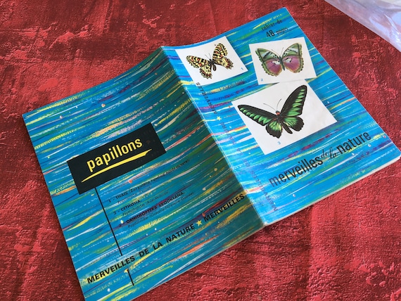 Lot De 2 Cahiers D'écolier Anciens - Année Scolaire 1964/1965 - Belle écriture