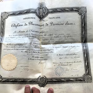 1905年 第一級薬剤師証書 羊皮紙 - フランス モンペリエ薬学学校 公教育大臣 羊皮紙