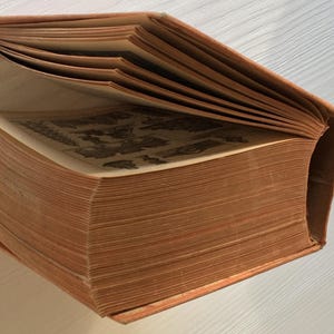 May include: An antique book with a worn, orange cover and aged pages. The pages are slightly fanned open, revealing detailed illustrations. The book's spine is rounded, and the edges show signs of wear, suggesting its age and use.