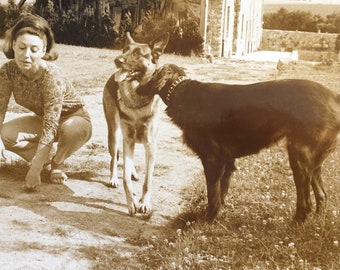 Mann mit seinen Hunden Schäferhund und Deutsche Dogge Fotografie Originalfoto des Schauspielers Jean-Yann, der Pétanque spielt