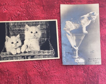 Les Chats Chat Superbe Lot de 2 Cartes Postale Fantaisie-Vœux-amitiés -(±)une carte postale précurseur de 1903 & 1934-très belles