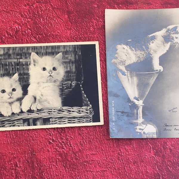 Les Chats Chat Superb Lot of 2 Fancy Postcards-Wishes-friendships -(±) a precursor postcard from 1903 & 1934-very beautiful