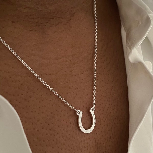Horseshoe Haven Necklace main image 1