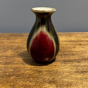 May include: A small, decorative ceramic vase with a narrow neck and a rounded body. The vase features a dark brown and green exterior with a prominent red teardrop-shaped design in the center. The rim is a light cream color.
