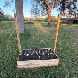 Cedar Garden Trellis