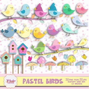 Pastell Vögel Clipart, Vogel Clipart, niedliche Vögel, Ostern Vögel, Vogelhaus, Schmetterlinge, Ast, Party Requisiten, Einladungen