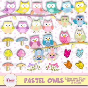 PASTEL Eulen Clipart, Vogel Clipart, niedliche Eulen, Ostervögel Clipart, Blumen, Schmetterlinge, Ast, Party Requisiten, Einladungen