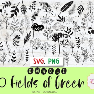 Campos de verde SVG, pacote PNG, vegetação Svg, arte de linha desenhada à mão Svg, plantas, folhas, samambaia, plantas tropicais, folha Svg, jardinagem, silhueta
