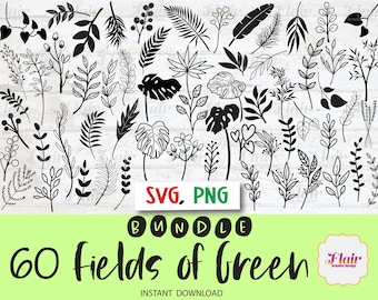 Campi di verde SVG, bundle PNG, verde Svg, linea arte disegnata a mano Svg, piante, foglie, felce, piante tropicali, foglia Svg, giardinaggio, sagoma