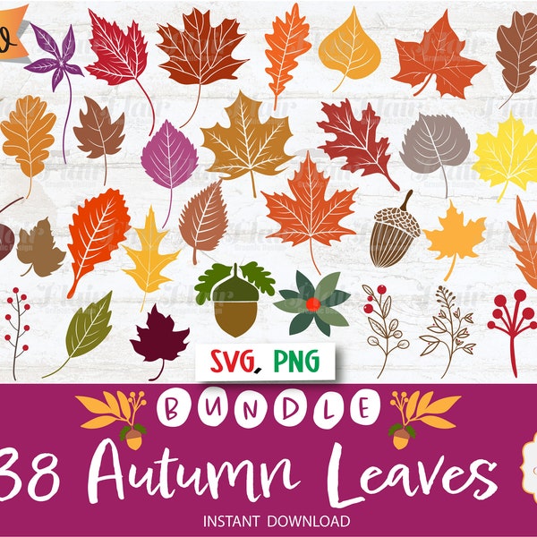 Autumn Leaves SVG, PNG Bundle Digital Clipart, Fall Leaf Divider SVG, Plants, Halloween, Thanksgiving Svg, Decorative Border, Commercial Use