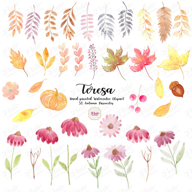 May include: A set of 58 watercolor clipart illustrations featuring autumn leaves, flowers, branches, and a pumpkin. The illustrations are hand-painted and perfect for adding a touch of fall to your designs.