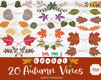 Viti autunnali SVG, PNG Bundle Clipart digitale, Divisore foglia autunnale SVG, Bordo, Piante, Ghirlanda di foglie Svg, Bordo decorativo, Uso commerciale