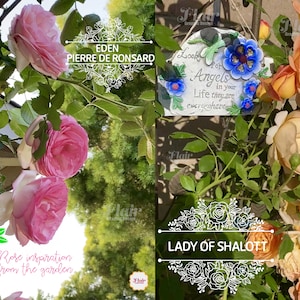 Roses Split Monograms SVG, PNG, DXF Bundle Series 2, Split Floral Frame ...