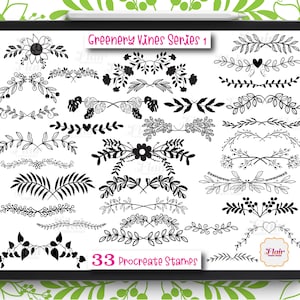 Tampons Greenery Vines Procreate série 1, pinceau floral, tampons feuilles vertes, tampons plantes, botanique, feuilles tropicales, fleurs sauvages, tampons