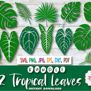 Tropical Leaves Clipart Bundle, SVG, PNG, DXF, Leaves, Monstera,  Palms, Banana, Fern , Jungle Leaves, Tropical Party Decor, Commercial Use