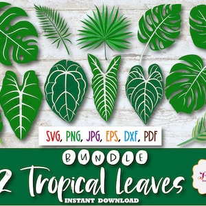 Tropische Blätter Clipart Bundle, SVG, PNG, DXF, Blätter, Monstera, Palmen, Banane, Farn, Dschungel Blätter, Tropical Party Decor, kommerzielle Nutzung