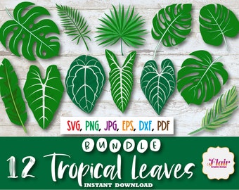 Paquete de imágenes prediseñadas de hojas tropicales, SVG, PNG, DXF, hojas, Monstera, palmeras, plátano, helecho, hojas de la selva, decoración de fiesta tropical, uso comercial