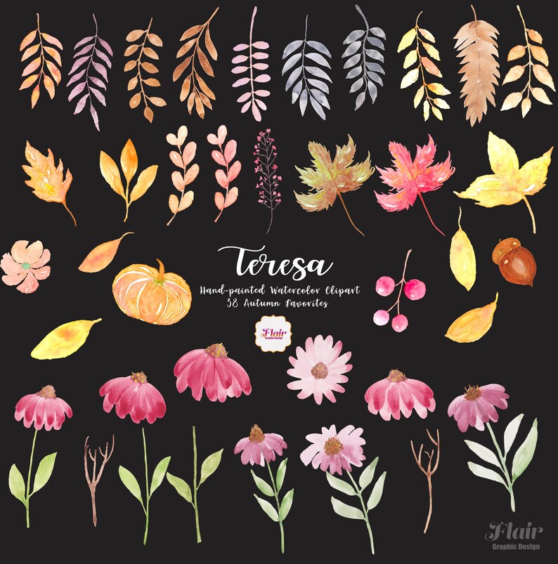 May include: A set of 38 hand-painted watercolor autumn clipart illustrations. The set includes leaves, flowers, berries, a pumpkin, and acorns in various shades of yellow, orange, red, pink, and green. The text "Teresa Hand-painted Watercolor Clipart 38 Autumn Favorites Flair Graphic Design" is included in the image.